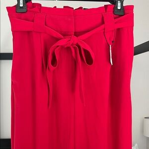 Express Red Wide Leg Pants